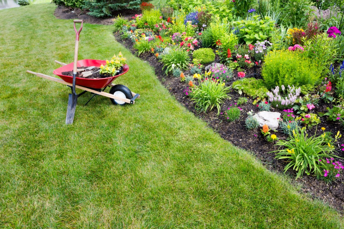 landscaping companies
