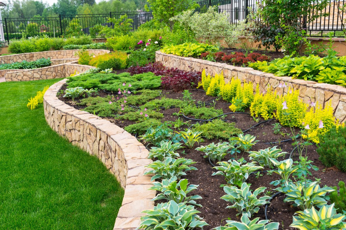 landscaping near me
