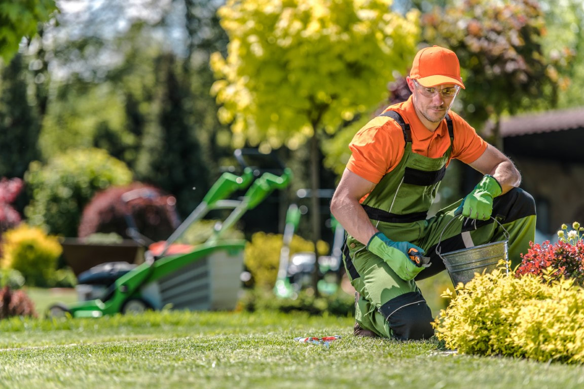 landscaping companies near me

